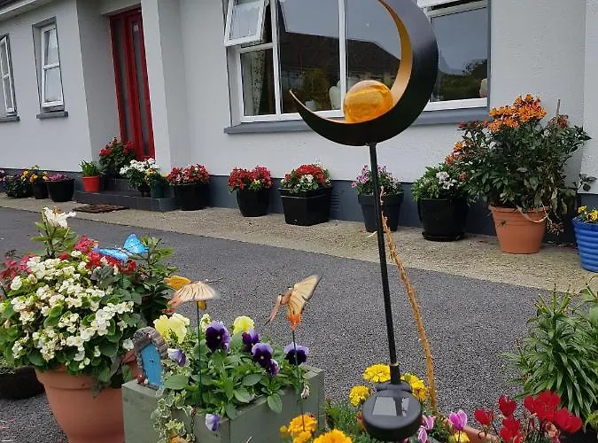 民宿 Hillgrove House 波伊尔